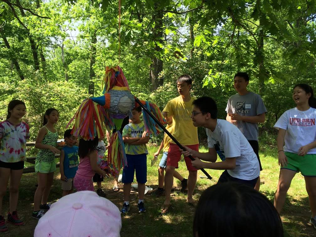 Homepage 15